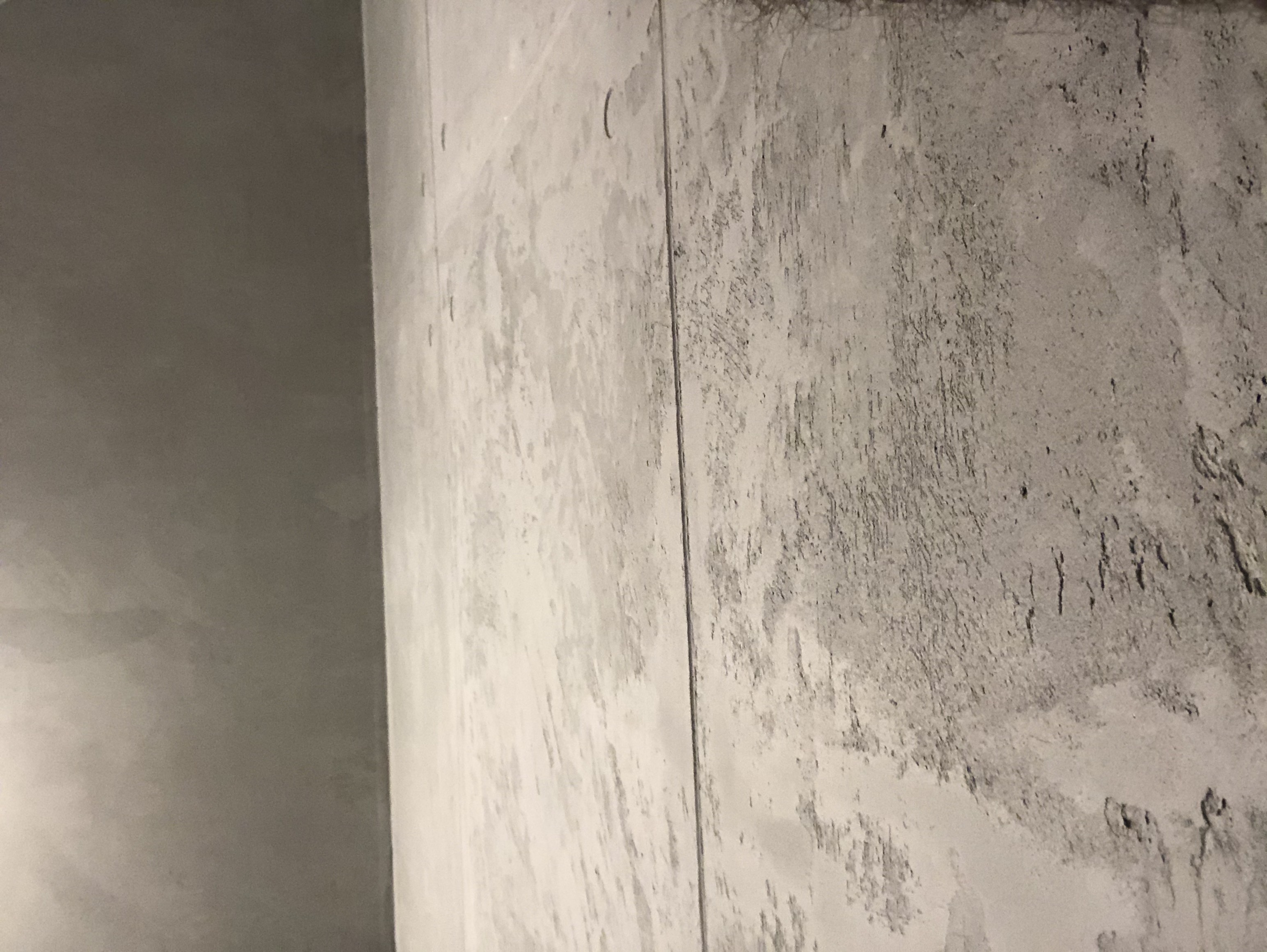 Tencuială Decorativă Archi Concrete – Ciment Decorativ – Rezidential Living Archi concrete Novacolor – DuneWalls Vladimir Stanescu materiale Novacolor
