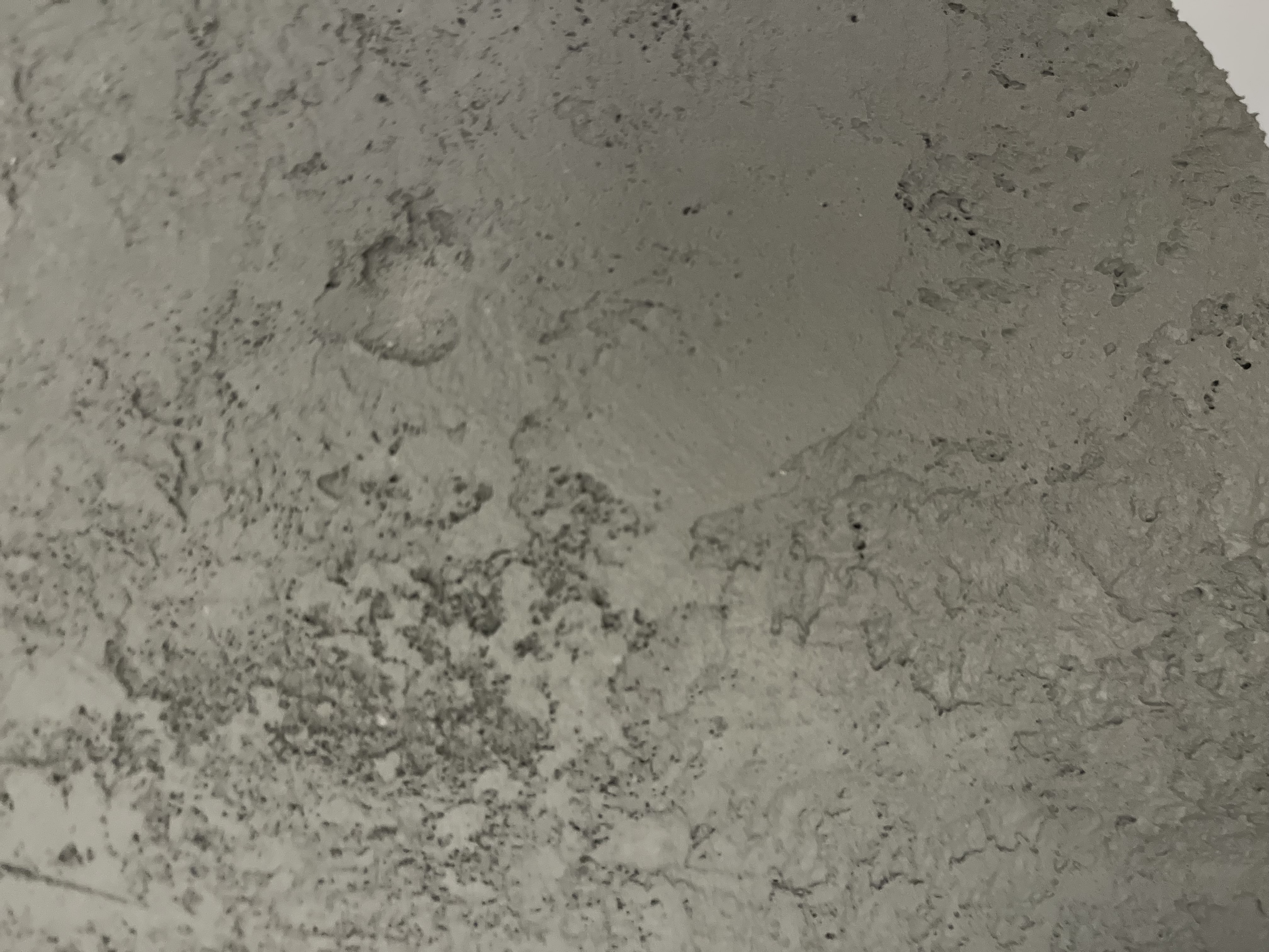 Tencuială Decorativă Archi Concrete – Ciment Decorativ – Rezidential  Archi+Big Novacolor – DuneWalls Vladimir Stanescu materiale Novacolor