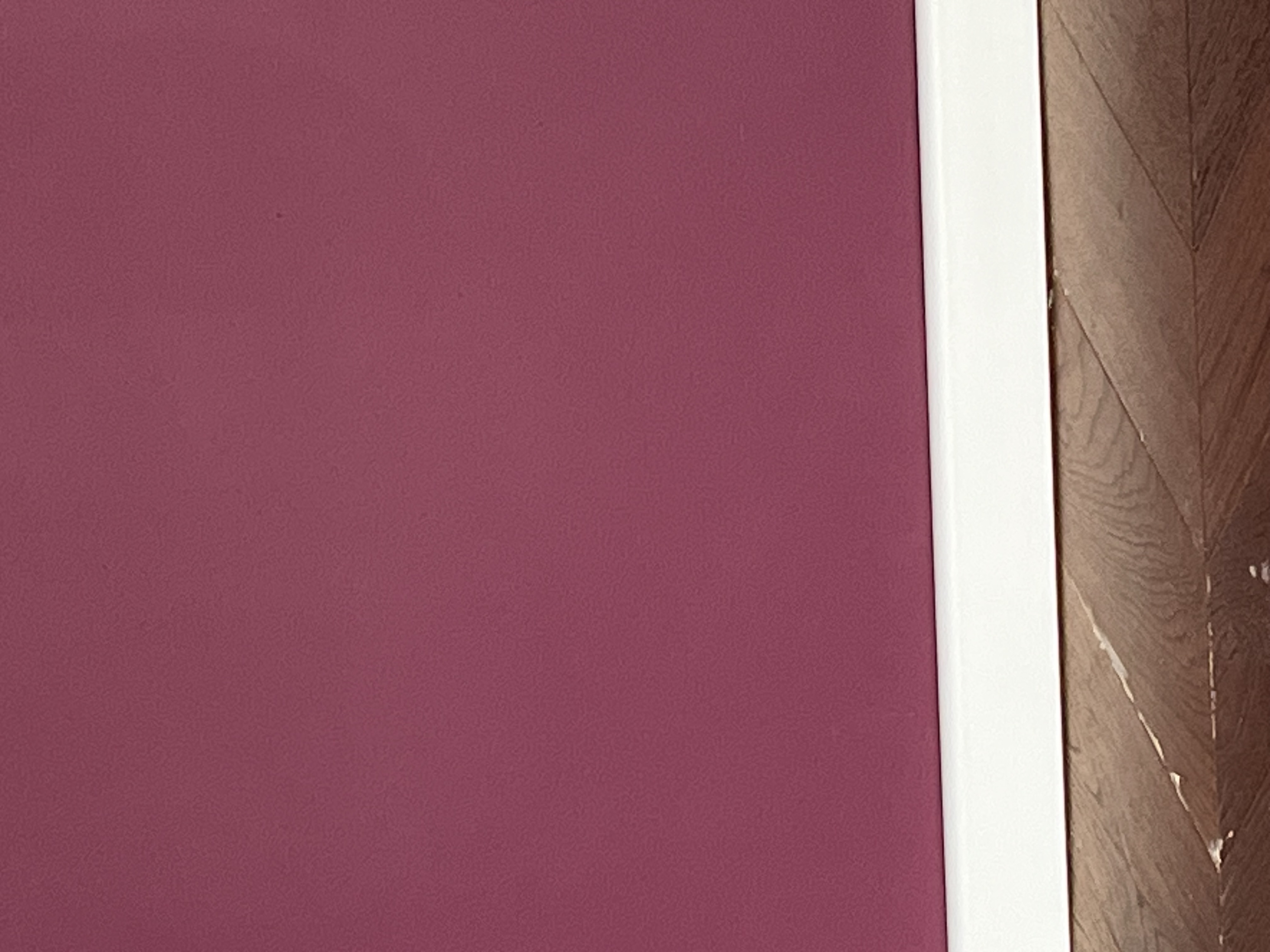 Finisaje Vopsele Acrilice ColorSmart – DuneWalls Vladimir Stanescu materiale Novacolor