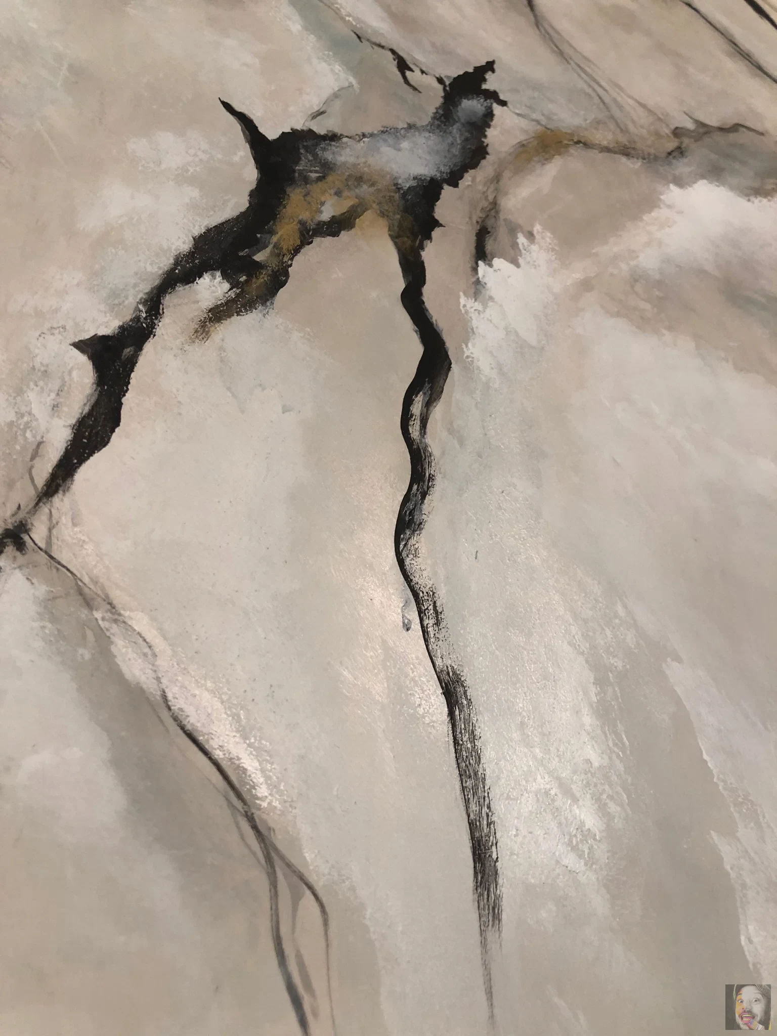 Finisaje Picturale – DuneWalls Vladimir Stanescu materiale Novacolor