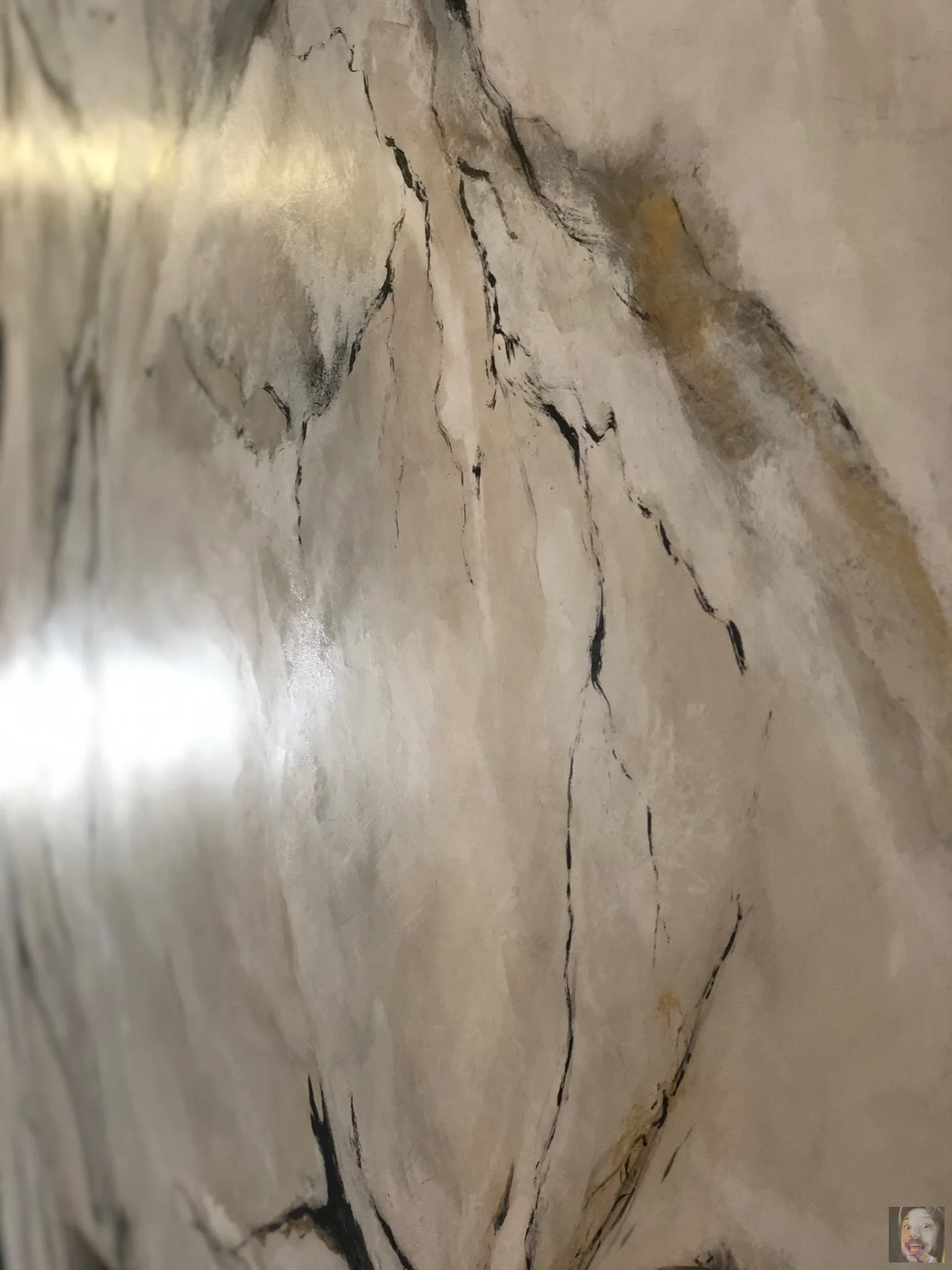 Finisaje Picturale – DuneWalls Vladimir Stanescu materiale Novacolor