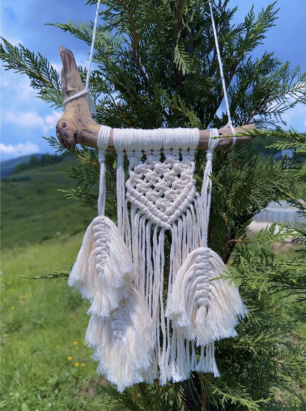 Macrame Diana J Epure DuneWalls – DuneWalls Vladimir Stanescu materiale Novacolor