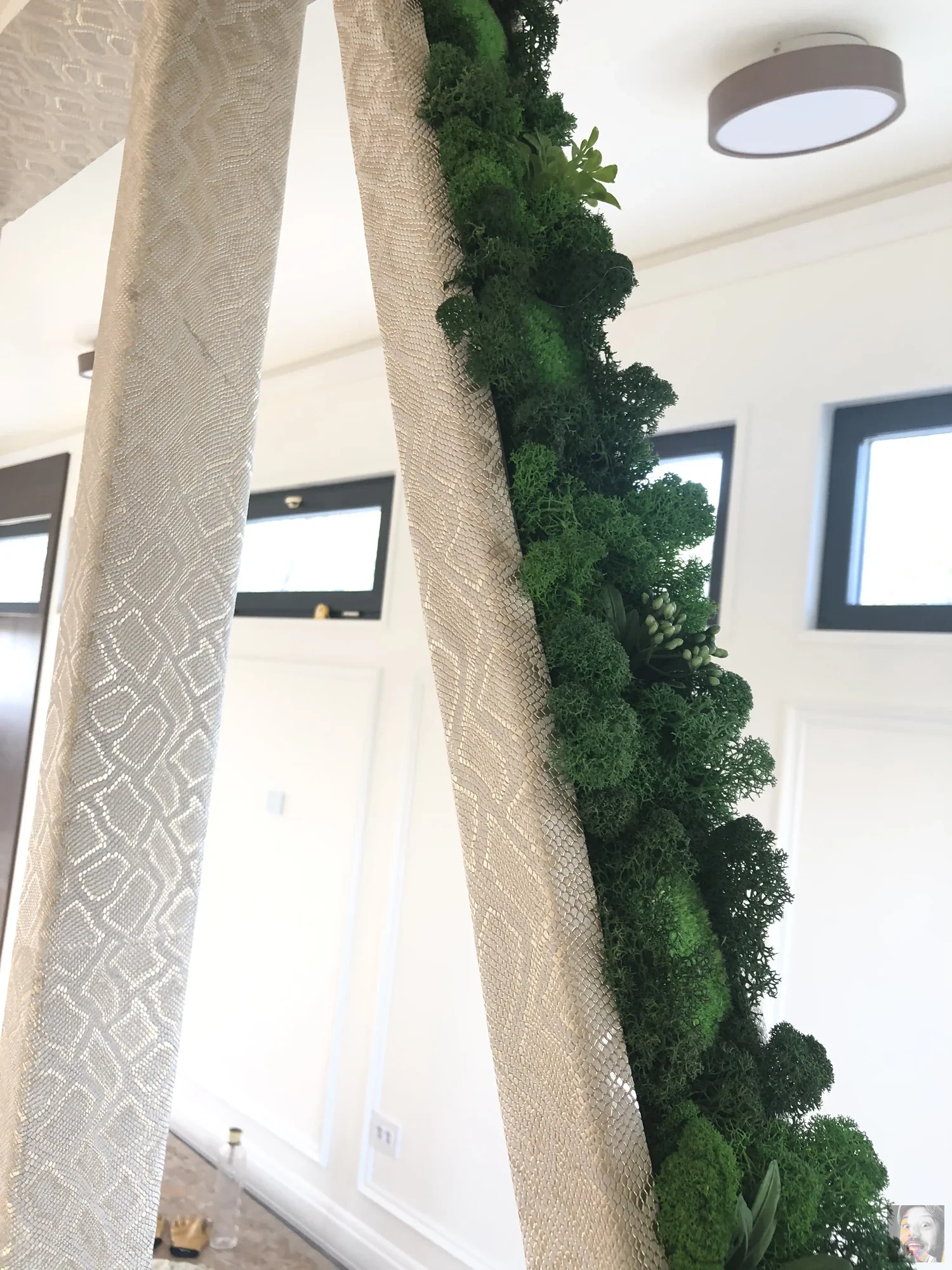 Plants & Lichens – DuneWalls Vladimir Stanescu materiale Novacolor