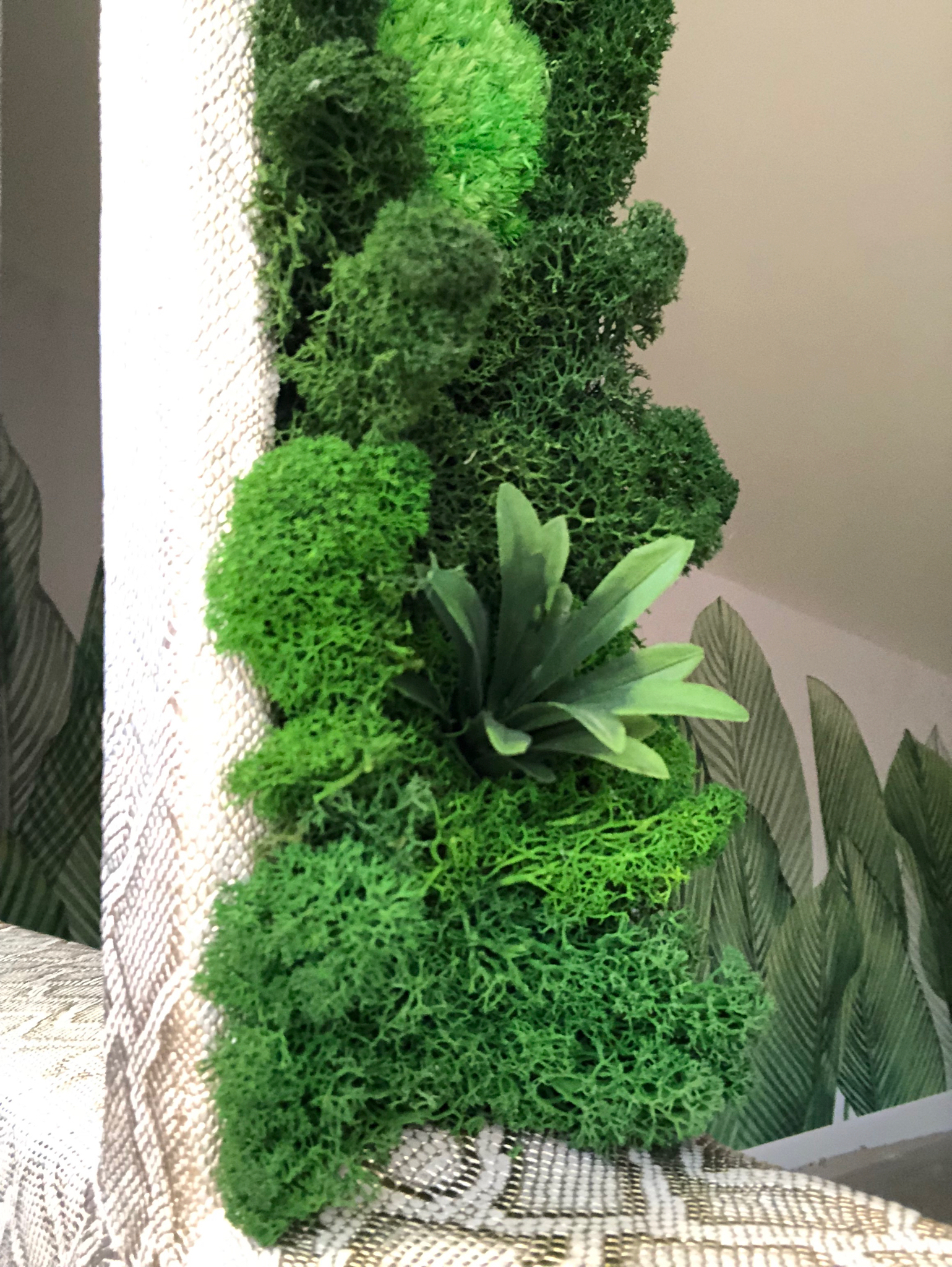 Plants & Lichens – DuneWalls Vladimir Stanescu materiale Novacolor