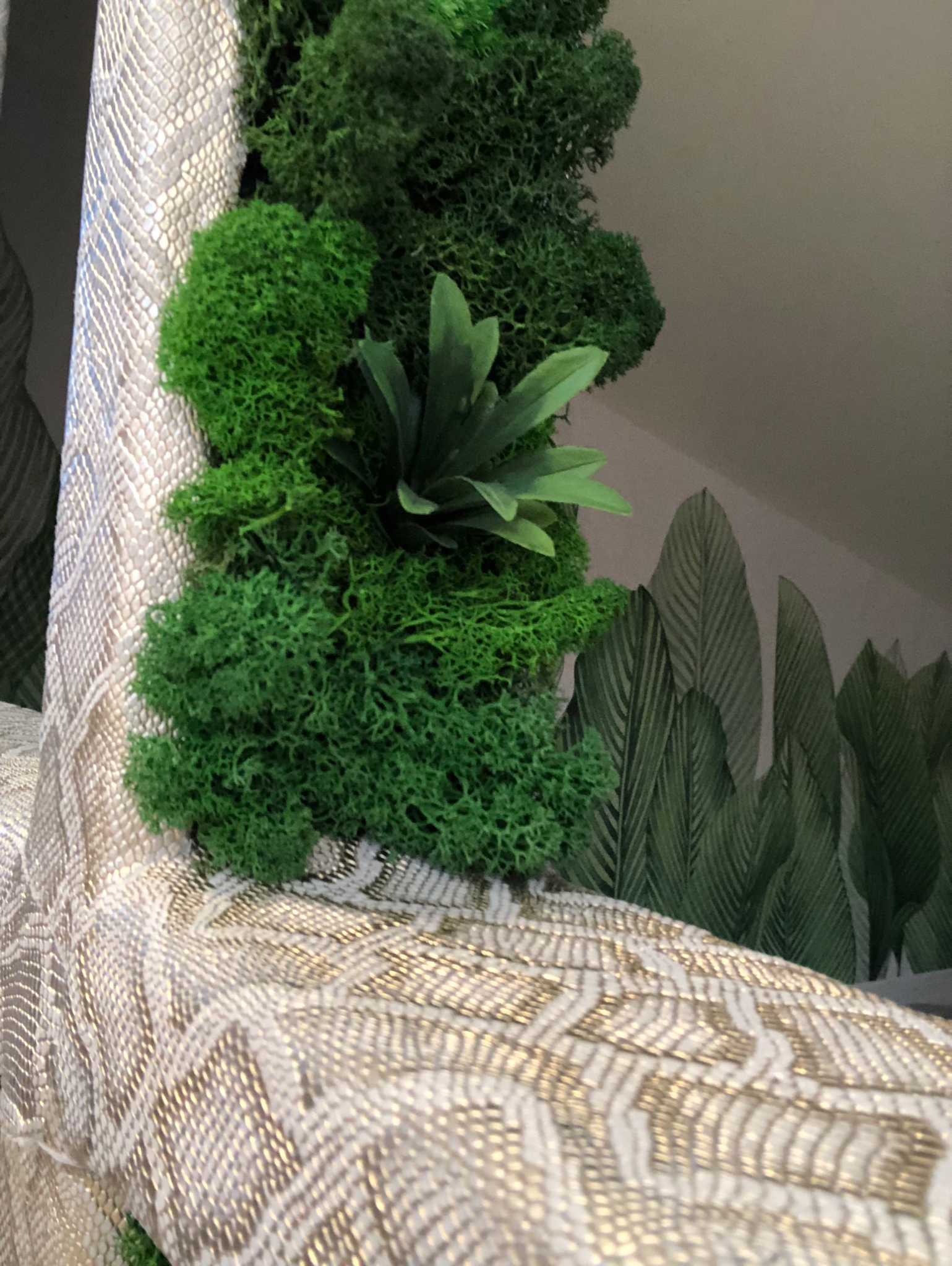 Plants & Lichens – DuneWalls Vladimir Stanescu materiale Novacolor