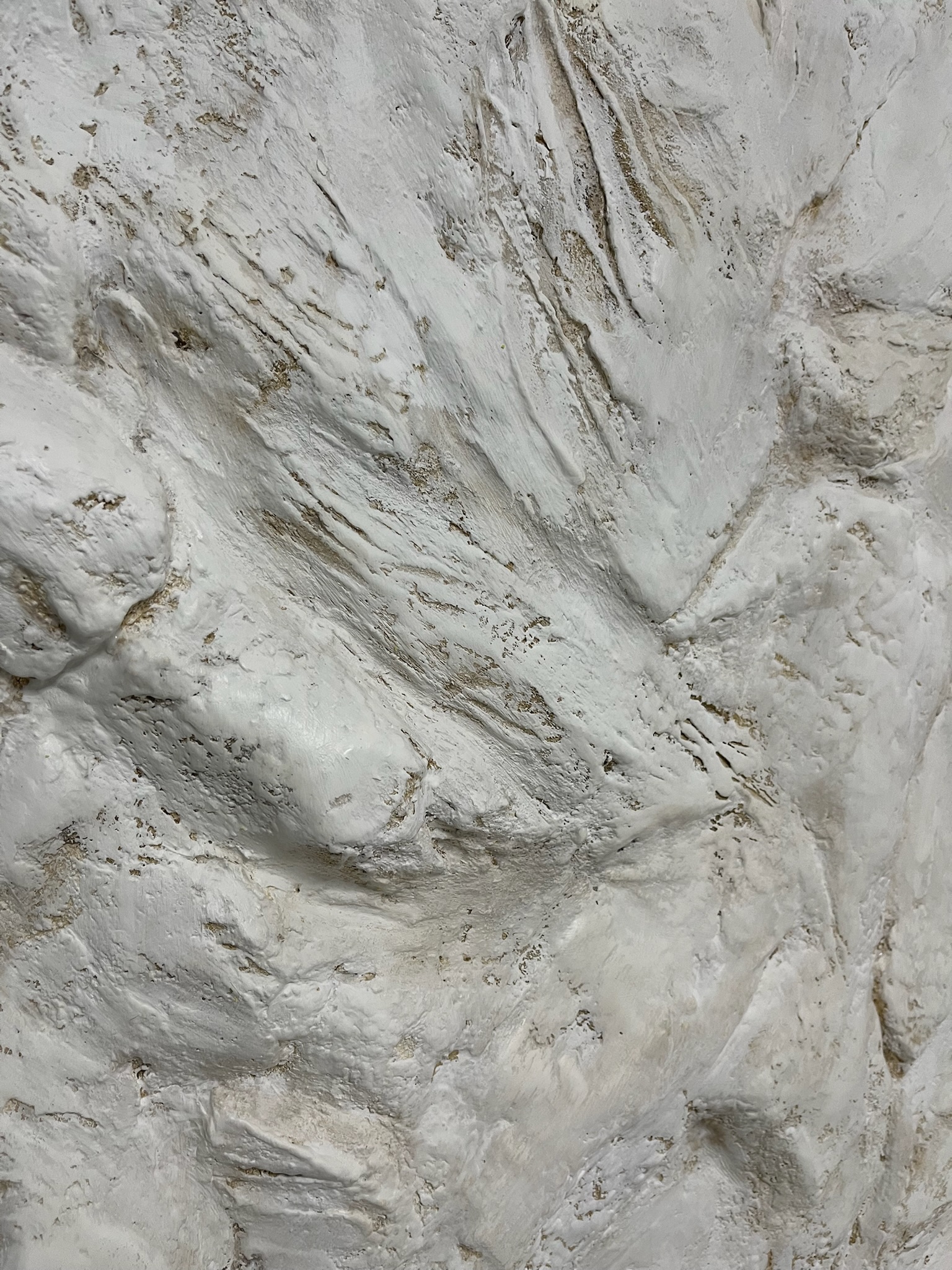 Roca – DuneWalls Vladimir Stanescu materiale Novacolor