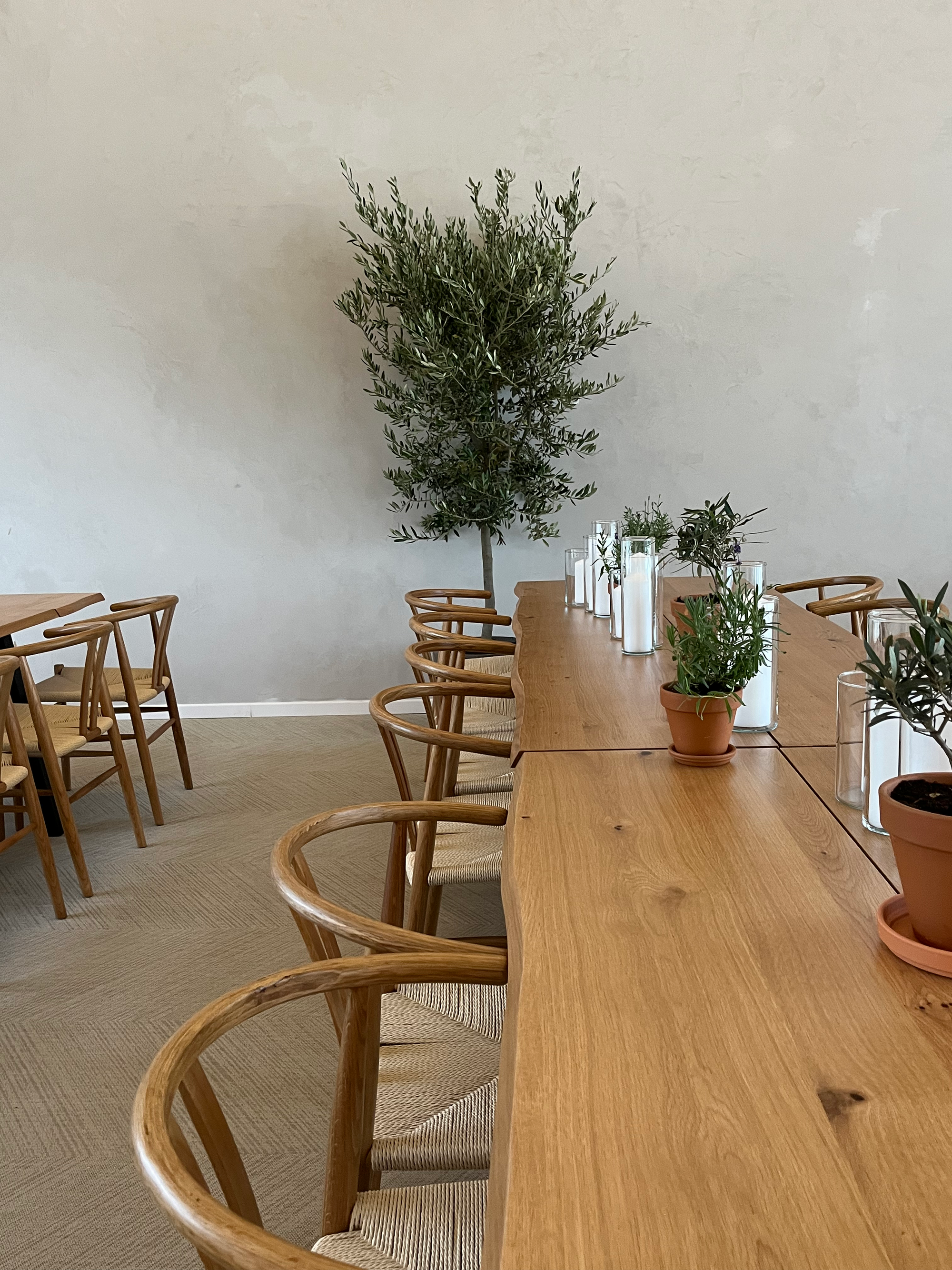 Masseria Moon Comarnic detaliu – DuneWalls Novacolor